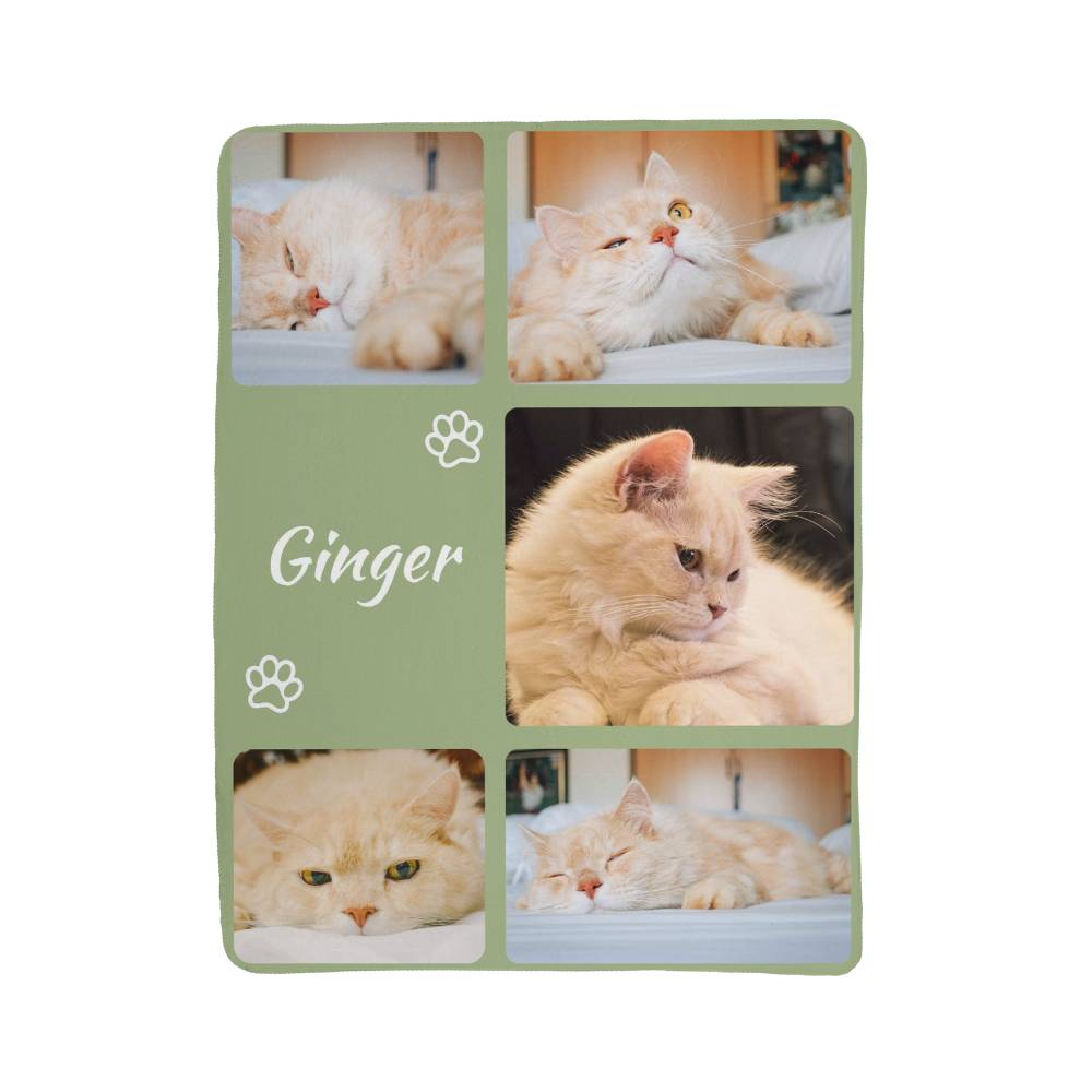 Collage of a cat named 'Ginger' with multiple photos on a green background