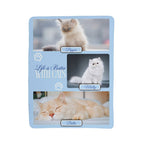 Card with images of three cats and text 'Life is Better With Cats' on a light blue background.