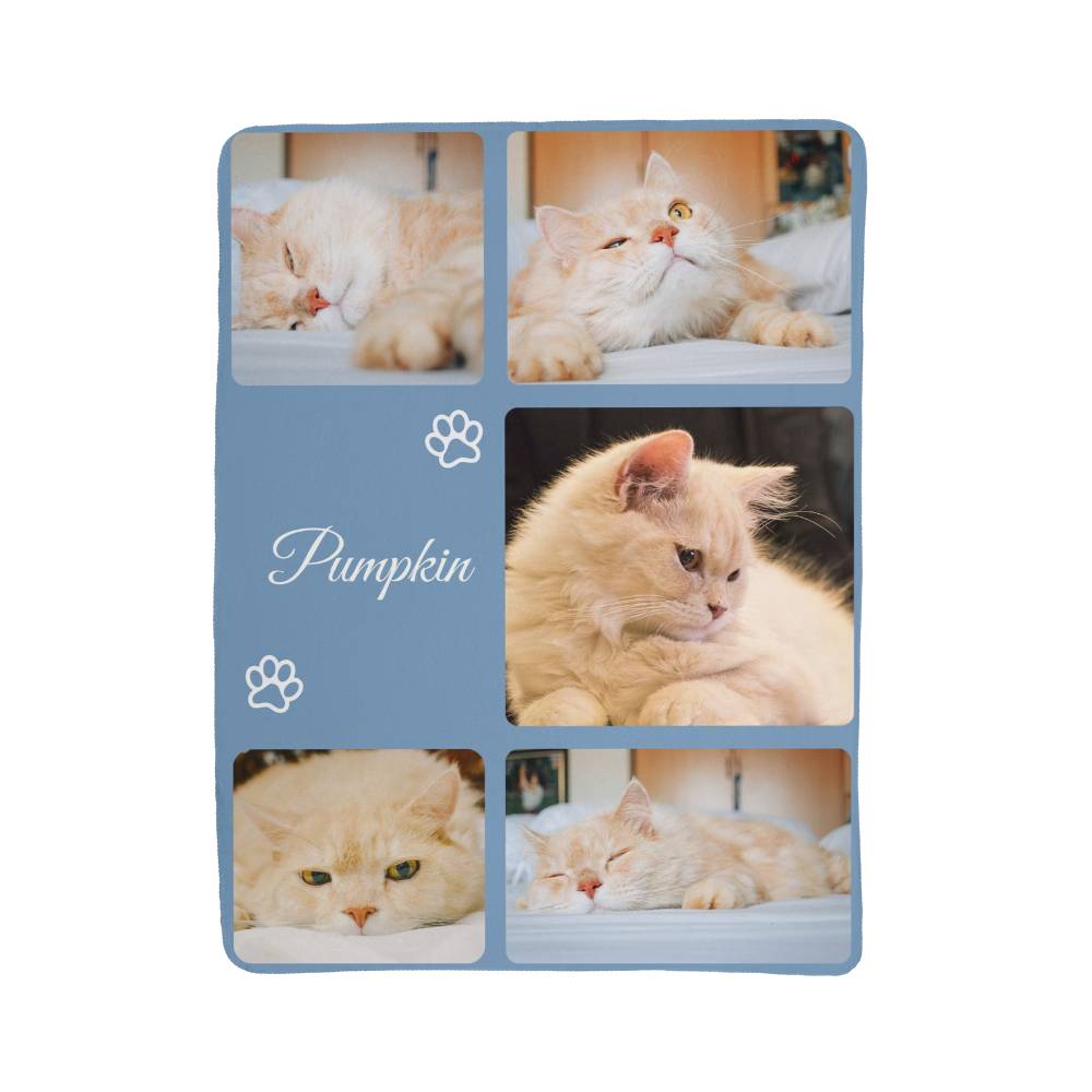 Collage of a cat with the name 'Pumpkin' on a blue background