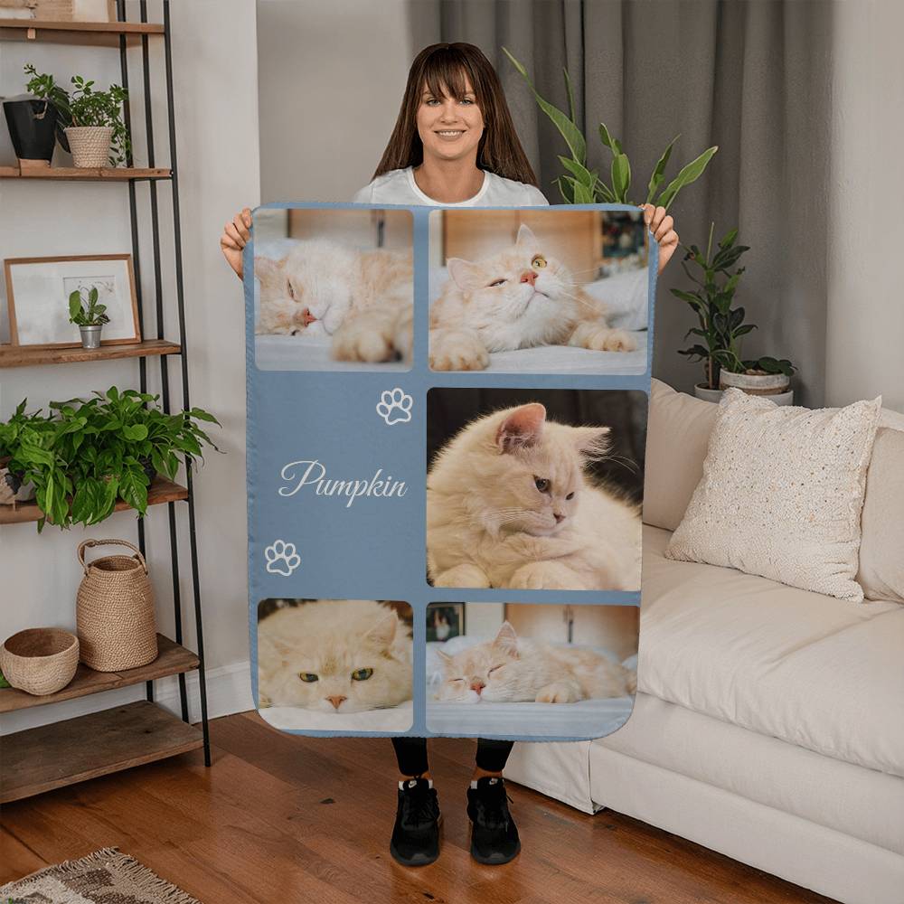 Person holding a blanket with cat photos and the name 'Pumpkin' in a living room.