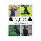 🐾 "Home is where my dog is" - Sherpa Blanket - Personalized name and photos