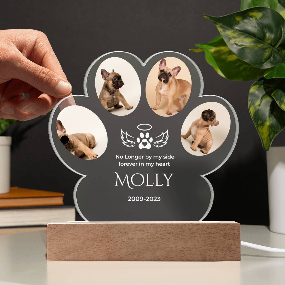 🐾 Personalized Pet Memorial Paw Acrylic Plaque with LED Base – Custom Dog Photo Light Keepsake
