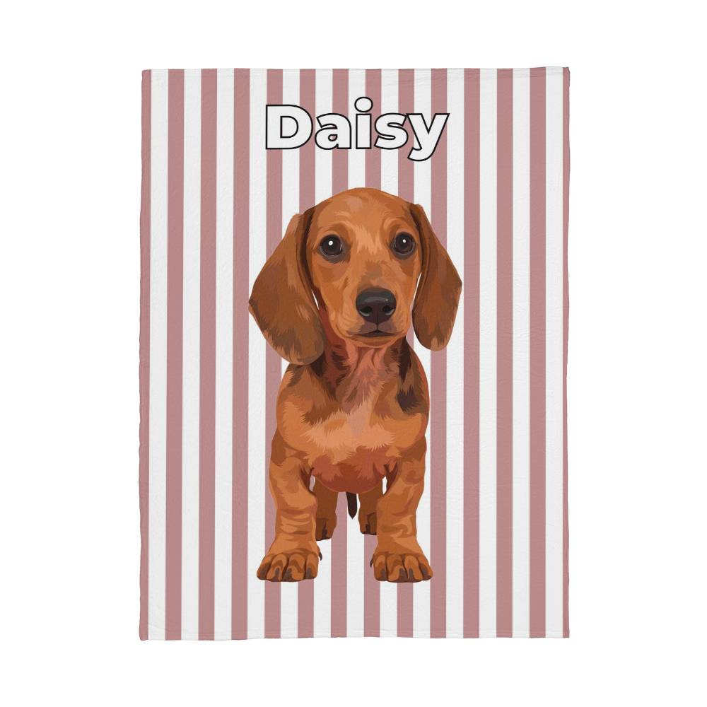 Dog illustration with 'Daisy' text on a striped background