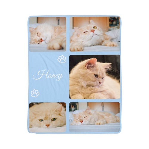 Collage of a cat with the name 'Honey' on a light blue background