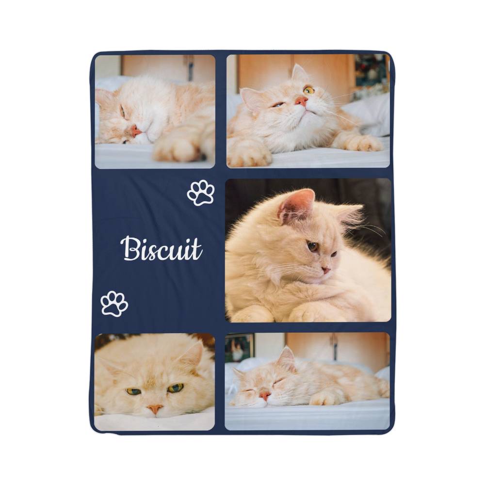 Personalized blanket with cat photos and name 'Biscuit' on a blue border