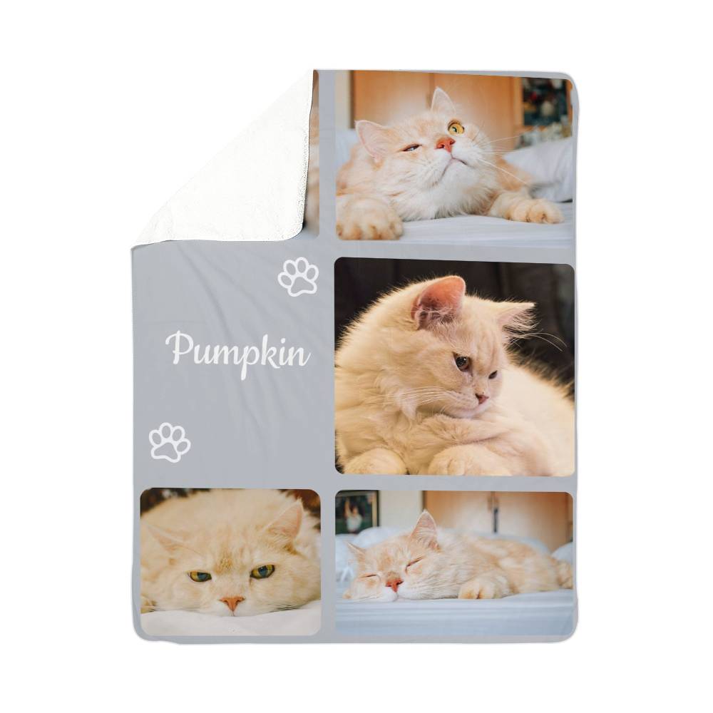 Cat-themed blanket with images of a cat named 'Pumpkin' and paw prints on a white background.