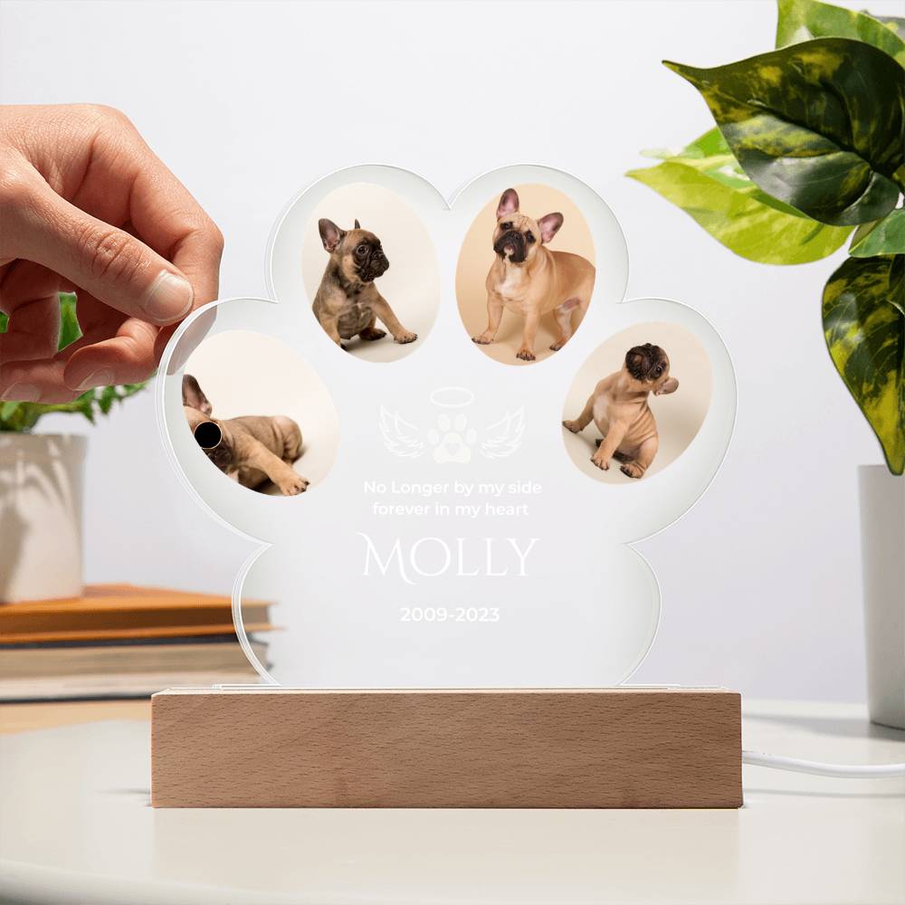 🐾 Personalized Pet Memorial Paw Acrylic Plaque with LED Base – Custom Dog Photo Light Keepsake