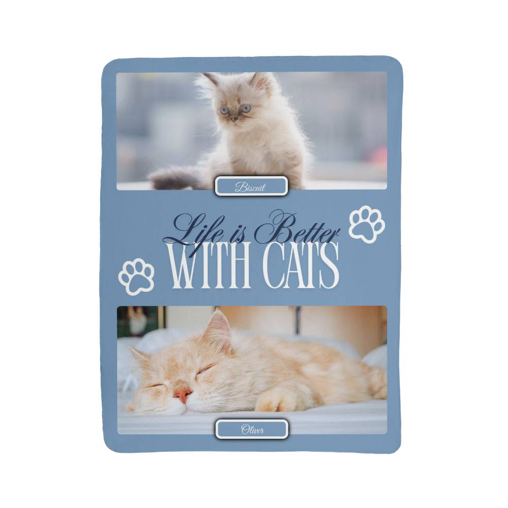 Product packaging with images of cats and text 'Life is Better With Cats' on a blue background.