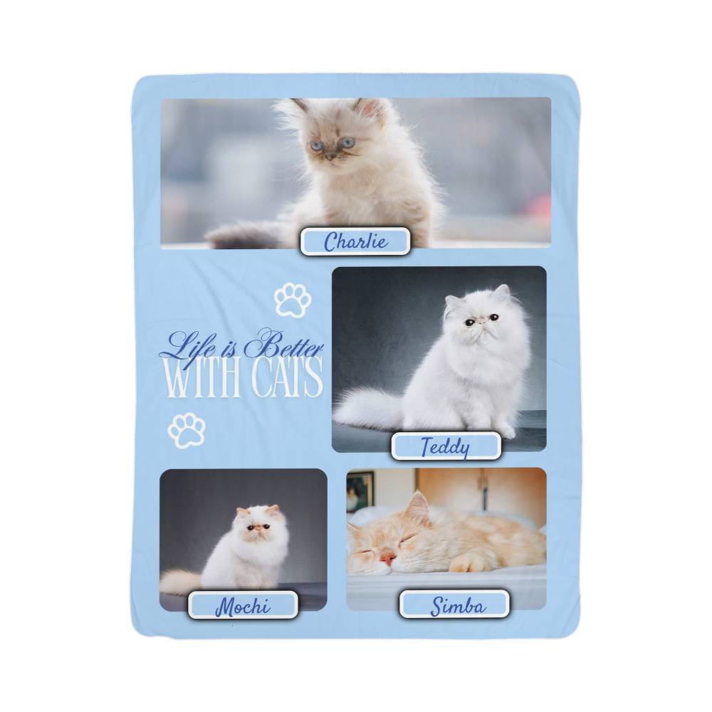 Product packaging with images of cats and text 'Life is Better with Cats' on a light blue background.