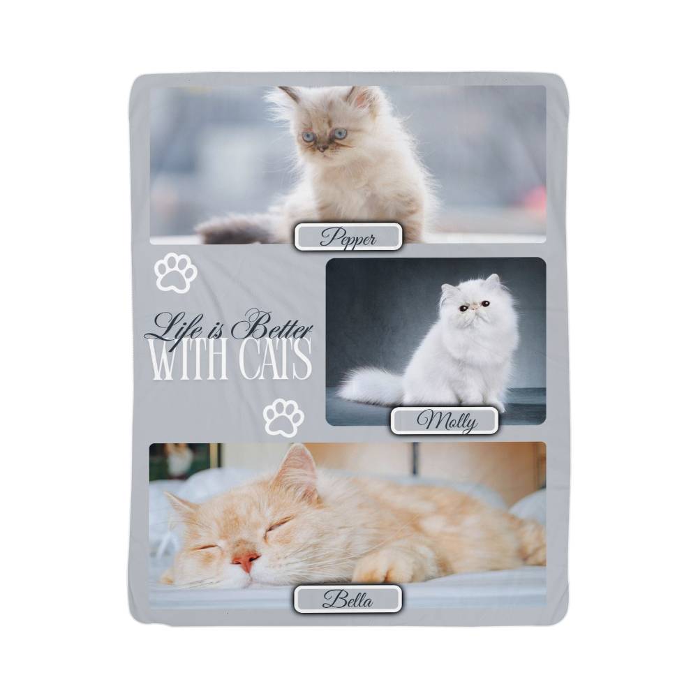 Product packaging with images of cats and text 'Life is Better with Cats' on a white background