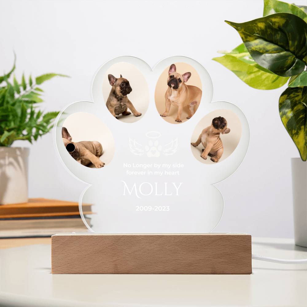 🐾 Personalized Pet Memorial Paw Acrylic Plaque with LED Base – Custom Dog Photo Light Keepsake