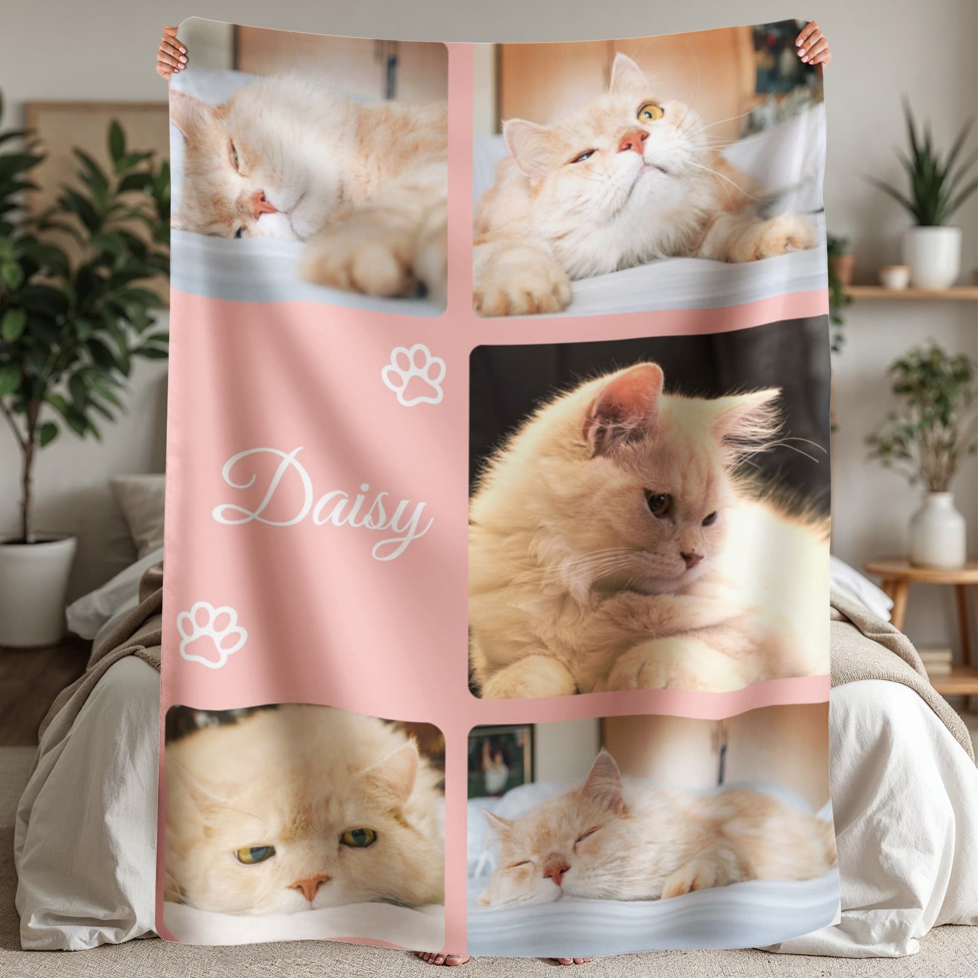 Blanket with multiple images of a cat named Daisy and pink border