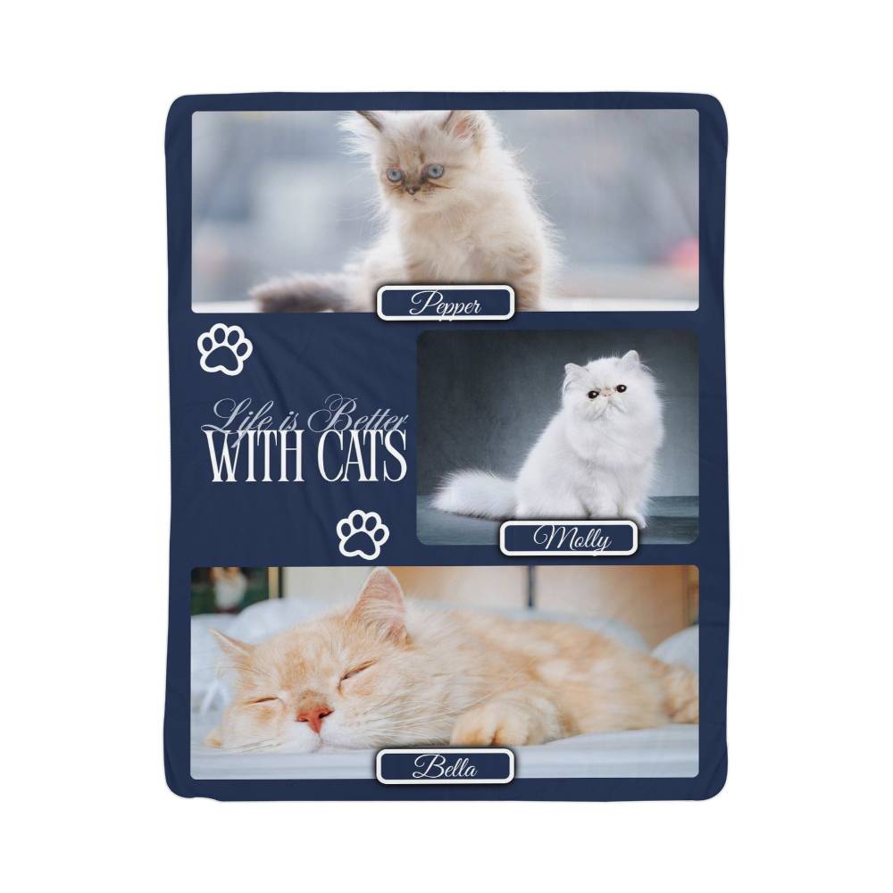 Blanket with images of cats and 'Life is Better with Cats' text on a blue border.