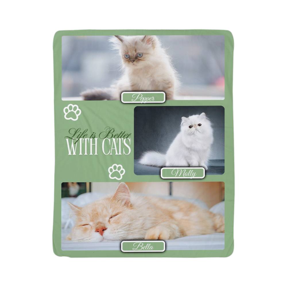 Product packaging with images of cats and text 'Life is Better With Cats' on a green background.