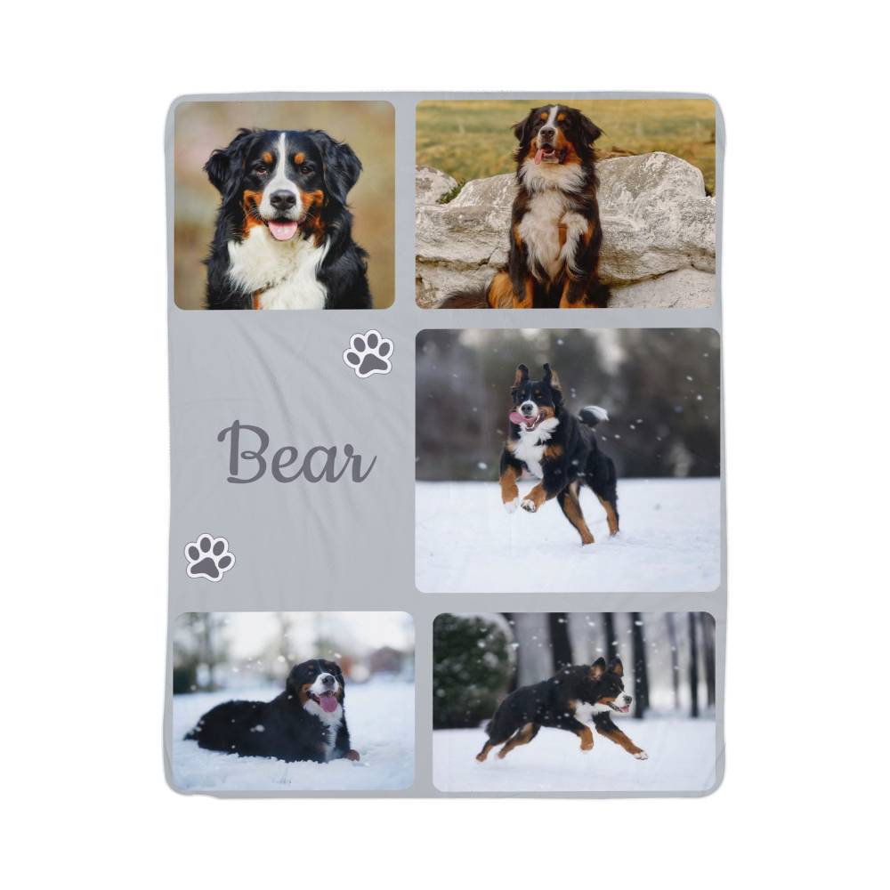 Collage of a dog in various poses with the name 'Bear' on a gray background