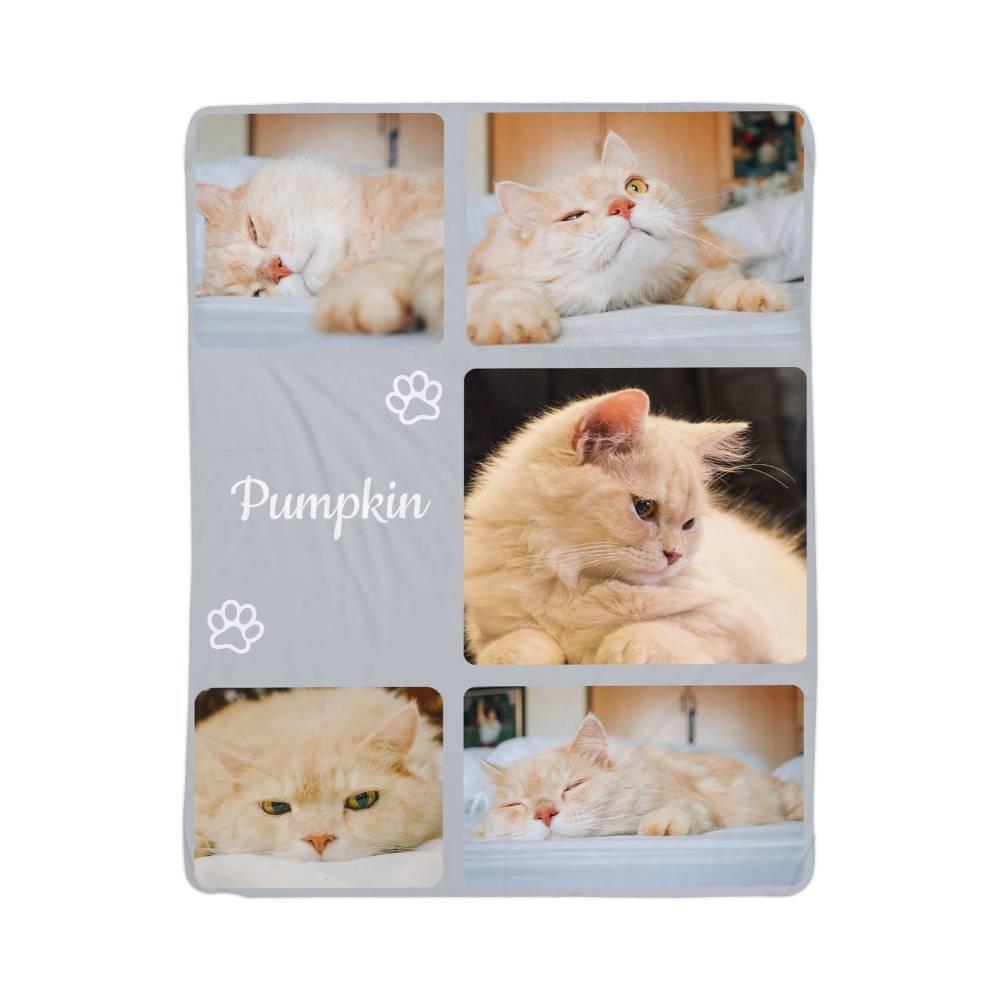 Collage of a cat named 'Pumpkin' with multiple photos on a blanket.