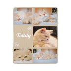 Collage of a cat named Teddy with various poses on a wooden block.