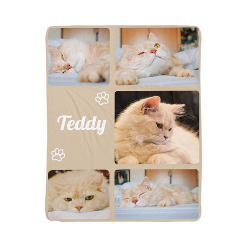 Collage of a cat named Teddy with various poses on a wooden block.