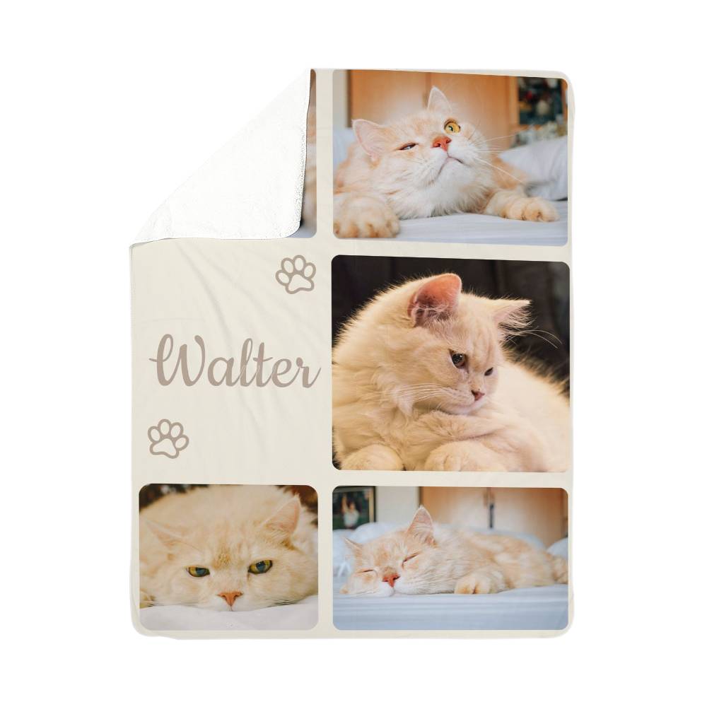 Collage of a cat named Walter on a white background