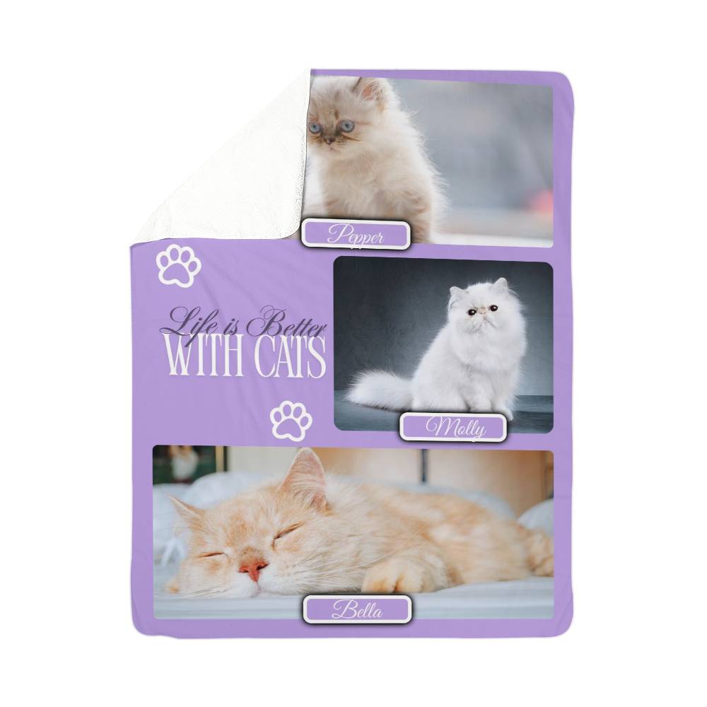 Purple product packaging with images of cats and text 'Life is Better With Cats' on a white background.