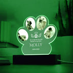 🐾 Personalized Pet Memorial Paw Acrylic Plaque with LED Base – Custom Dog Photo Light Keepsake