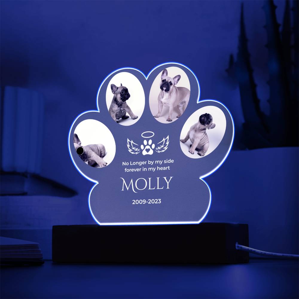 🐾 Personalized Pet Memorial Paw Acrylic Plaque with LED Base – Custom Dog Photo Light Keepsake