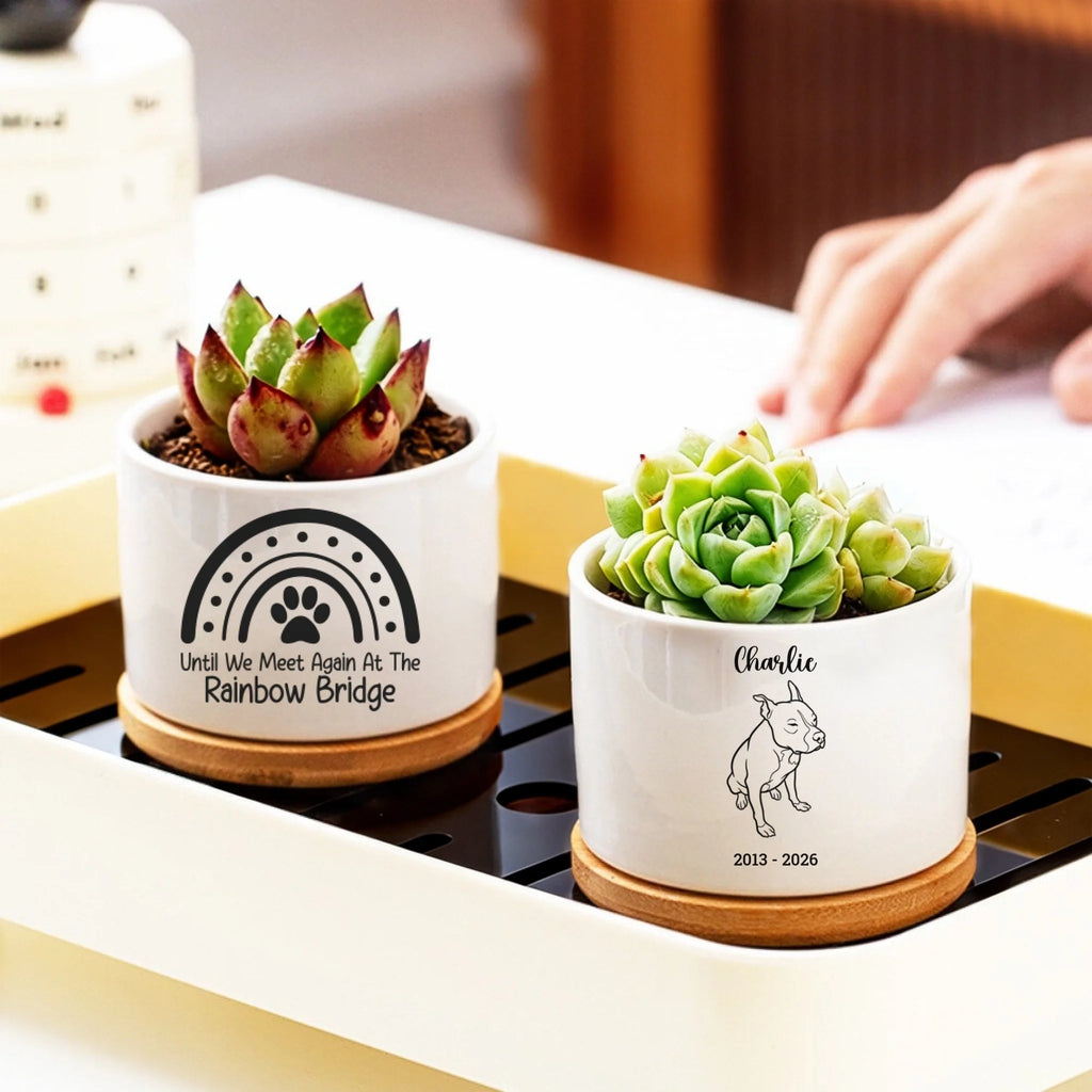 Personalized Pet Memorial Ceramic Planter with Bamboo Tray — Custom Line Art