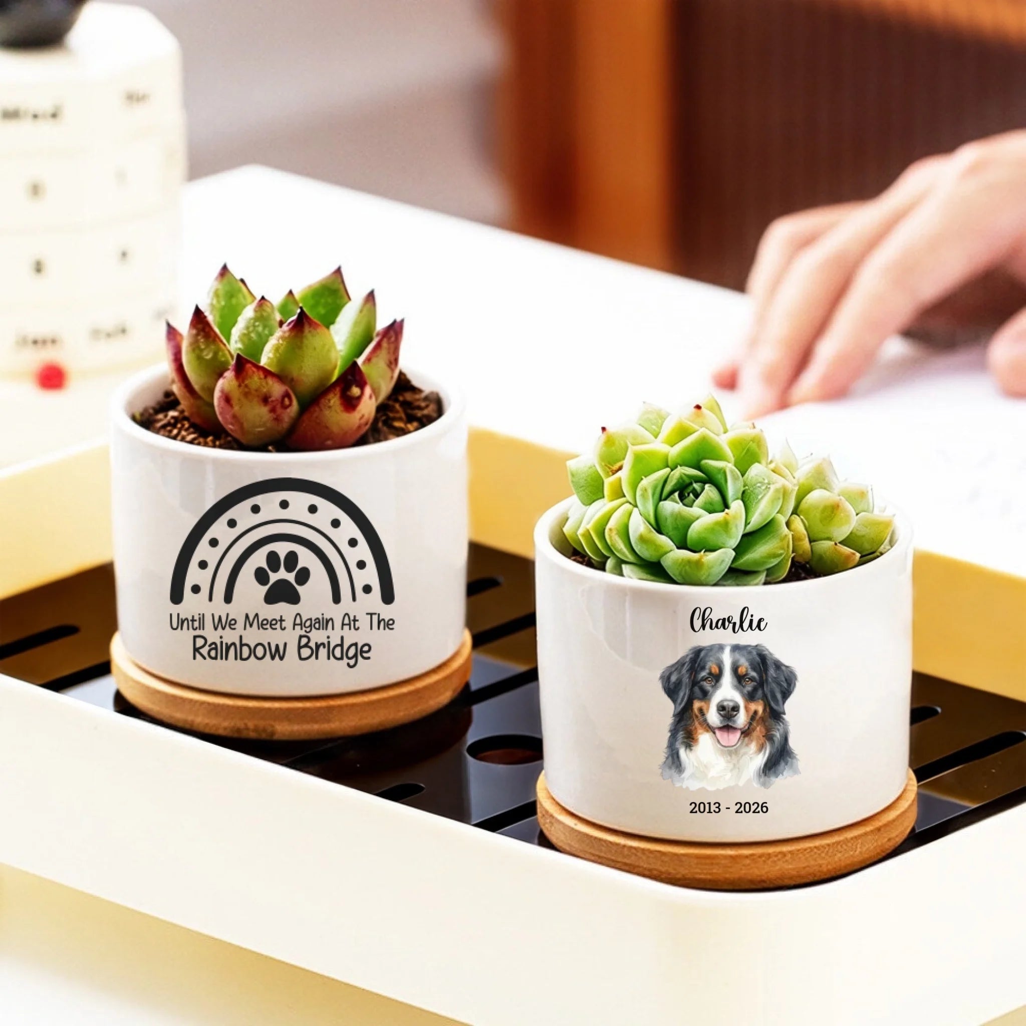 Personalized Pet Memorial Ceramic Planter with Bamboo Tray — Custom Watercolor Art