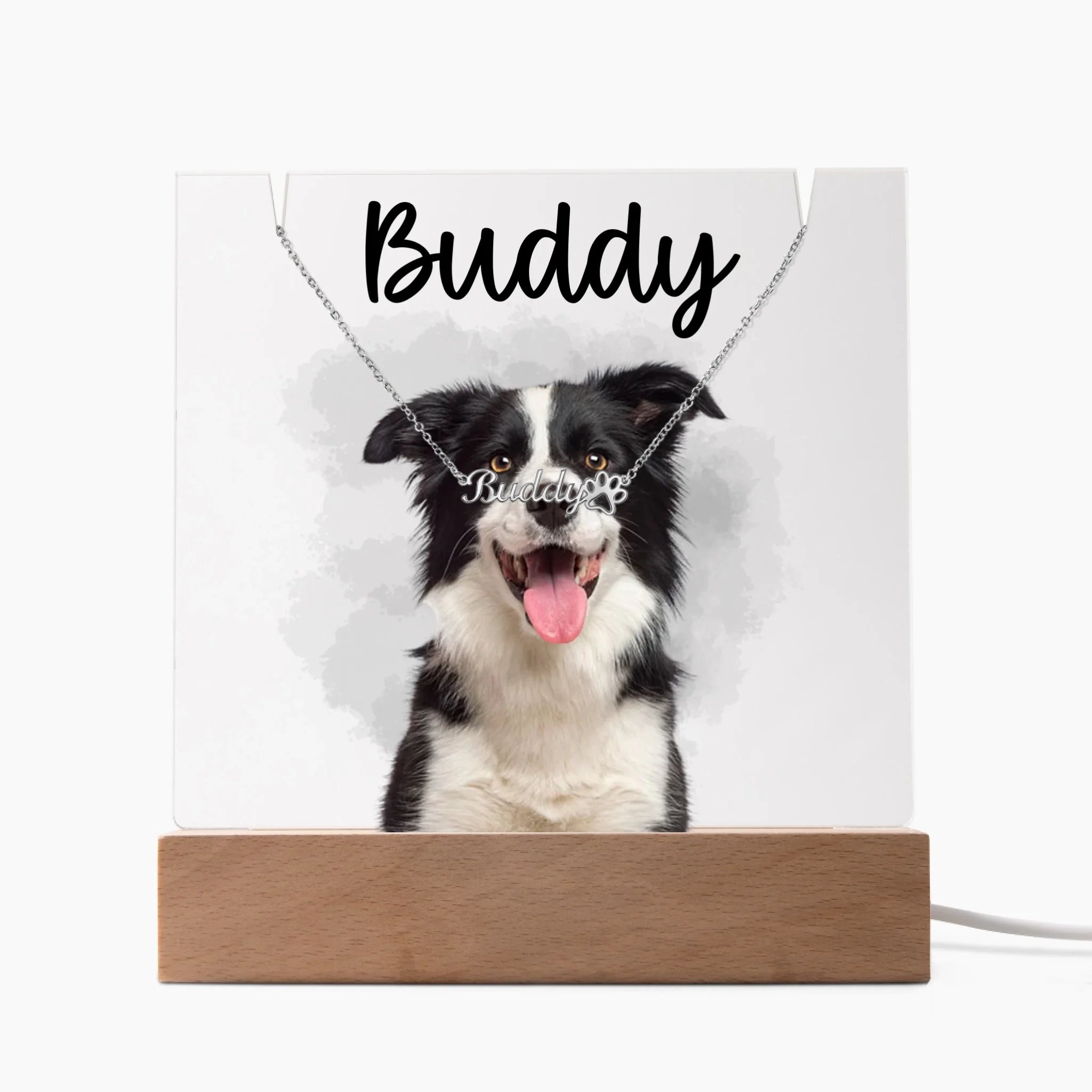 Keepsake Acrylic with Paw Print Name Necklace with corded_