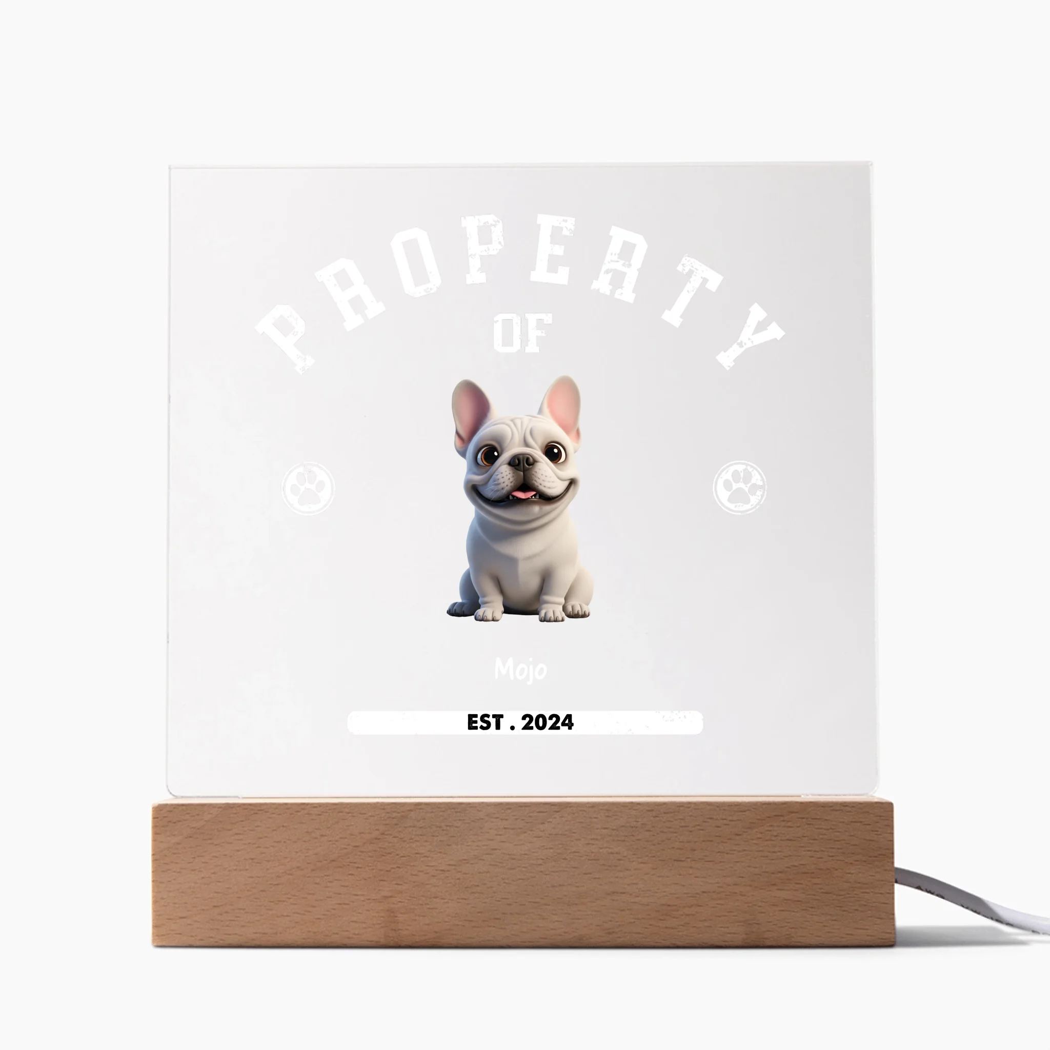 Acrylic Square LED 1