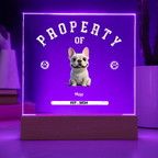 Acrylic Square with LED Base 8