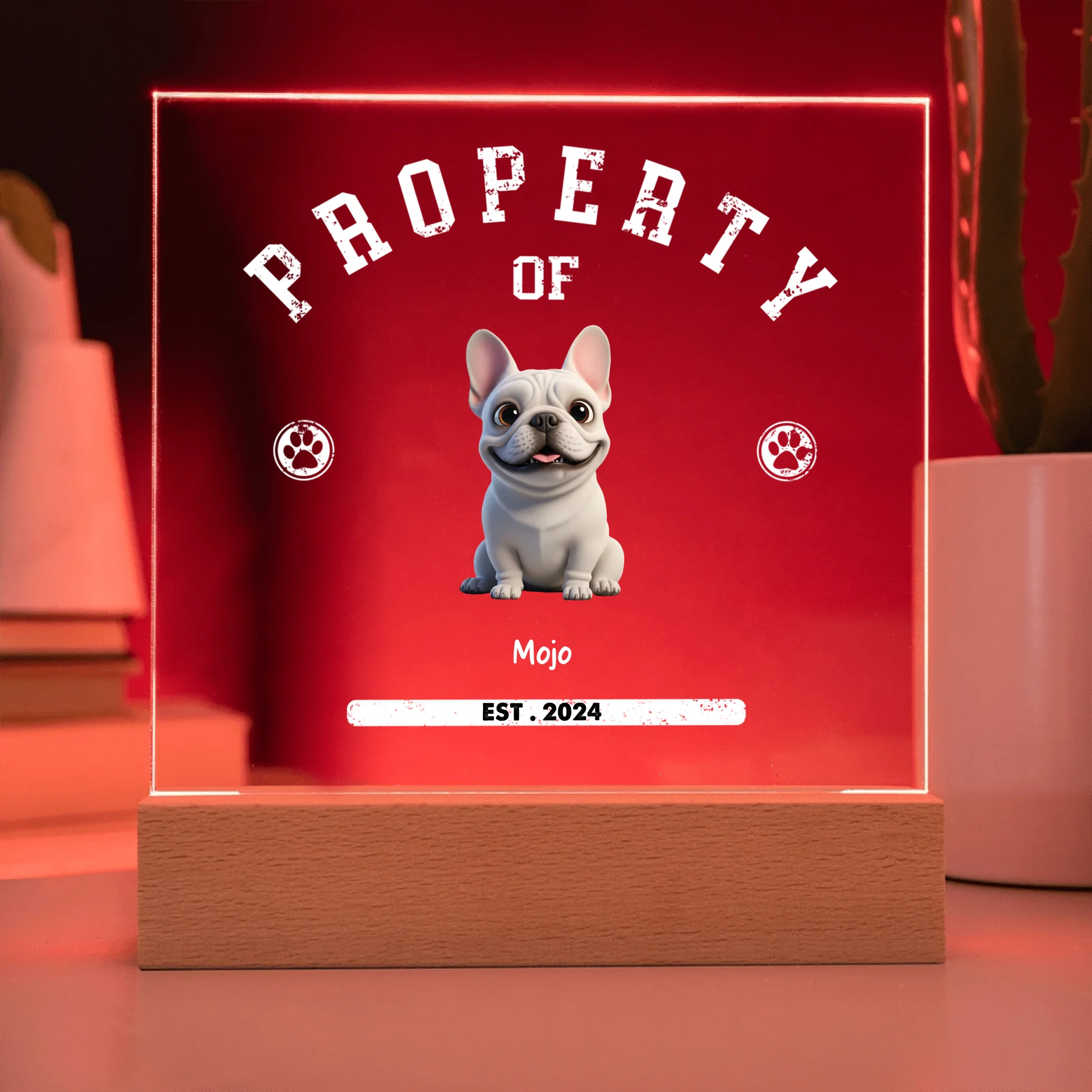 Acrylic Square with LED Base 9