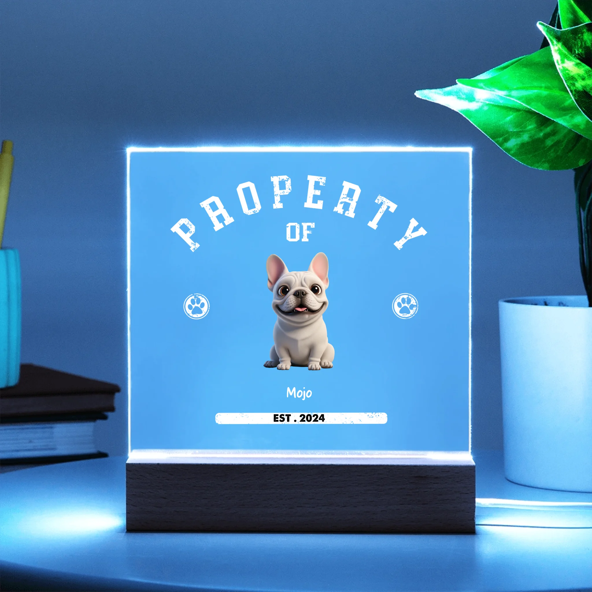 Acrylic Square with LED Base 10