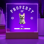 Acrylic Square with LED Base 8