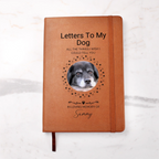 Journal 19