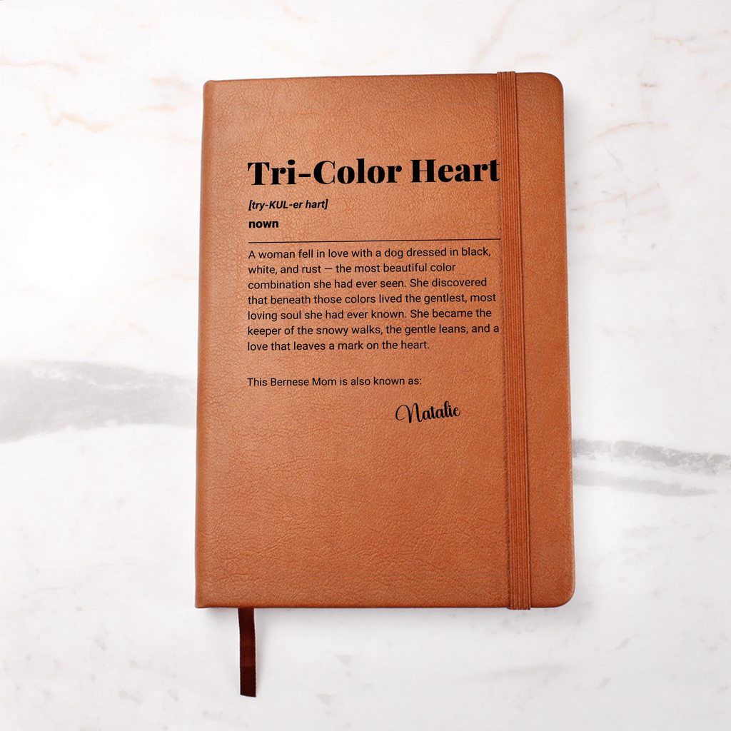 Journal 19