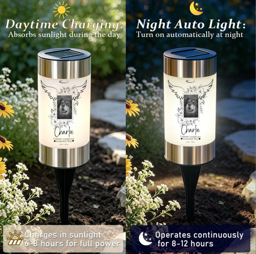 A solar light with description of charging time 6 - i hours in sunlight and operation time for 8 - 12 hours with a personalized image for pet memorial