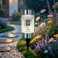 "Forever Missed" Solar Pathway Memorial LIght
