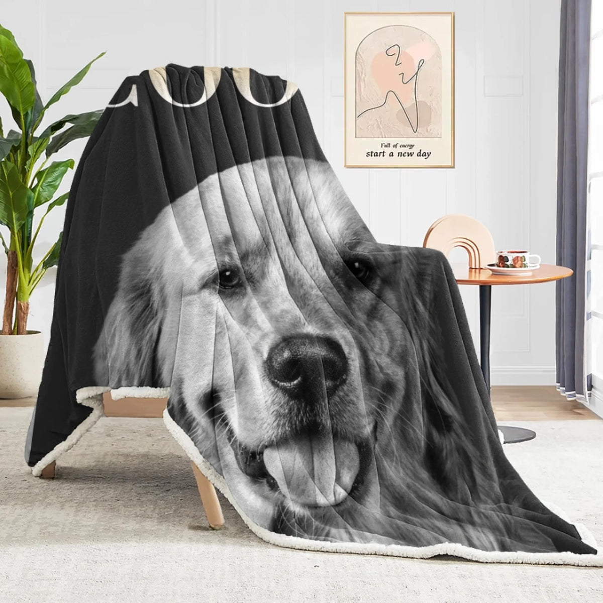 A black throw blanket with a large black-and-white Golden Retriever print and a white sherpa-style border, draped over a chair in a bright living room setting.