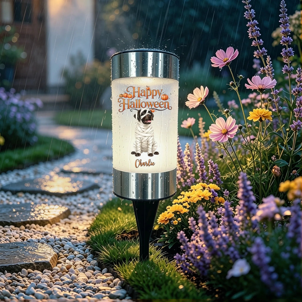 A custom solar pet memorial garden light in a rain garden, featuring a printed photo of a Bernese mountain dog and the name 'Oliver' with a memorial message. The light is illuminated, casting a warm glow, and is surrounded by purple and yellow flowers on a stone path.
