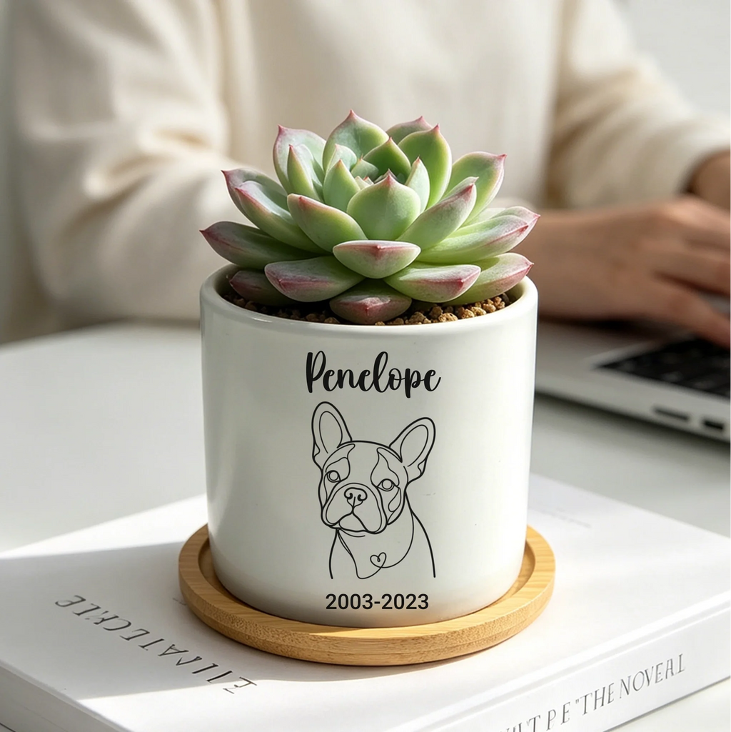A small succulent in a white ceramic planter with a black line drawing of a French bulldog and the text 'Pencipe' and '2003-2023', sitting on a wooden coaster on a white surface with a blurred person and laptop in the background.