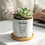 A small succulent in a white ceramic planter with a black line drawing of a French bulldog and the text 'Pencipe' and '2003-2023', sitting on a wooden coaster on a white surface with a blurred person and laptop in the background.