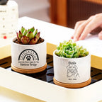 Two small white ceramic planters with wooden coasters holding succulent plants, placed on a tray. One planter has a rainbow paw print design with the text 'Until We Meet Again At The Rainbow Bridge,' and the other has a dog sketch with the name 'Charlie' and dates '2013 - 2026.