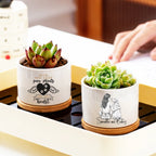Two small white ceramic planter pots with wooden coasters holding succulent plants, placed on a tray in a real indoor setting with a hand visible in the background.