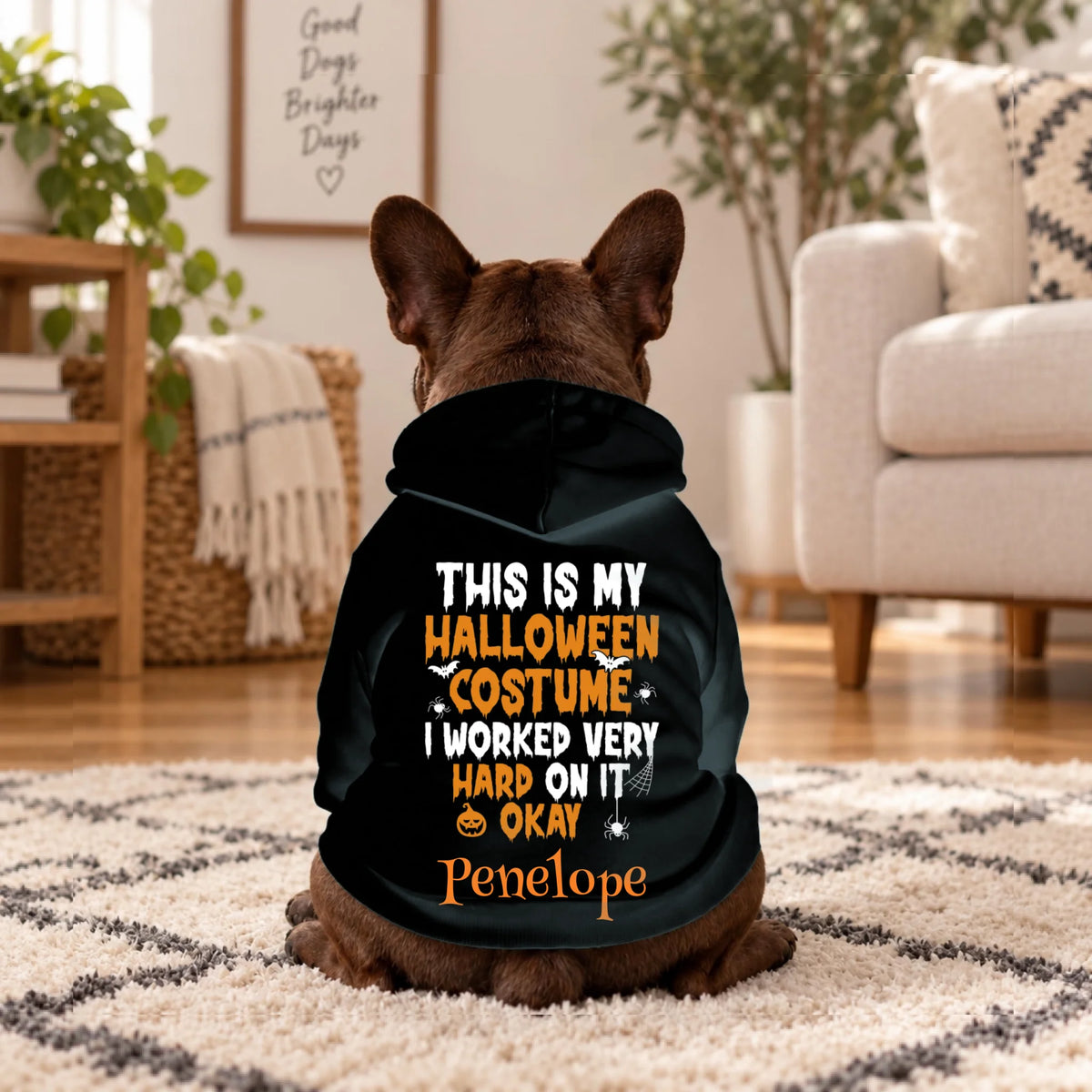 Dog wearing a black hoodie that says This Is My Halloween Costume with name Penelope