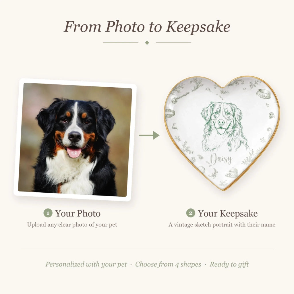 Before and after: pet photo turned into a vintage sketch portrait ring dish