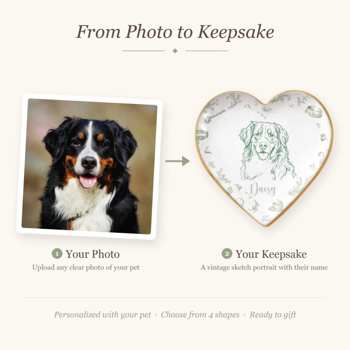 Before and after: pet photo turned into a vintage sketch portrait ring dish