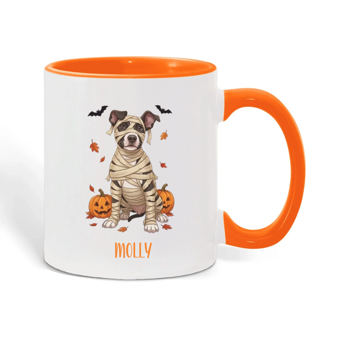 Color Accent Mug Orange