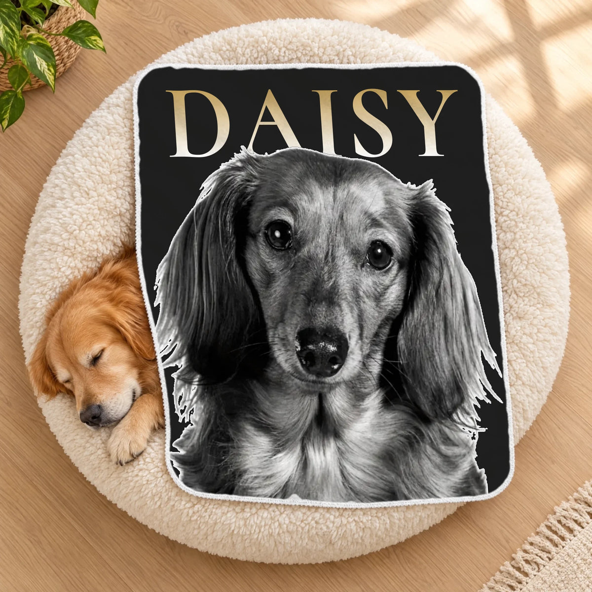 Golden retriever asleep in a fluffy dog bed beside a personalized black and white pet portrait sherpa blanket