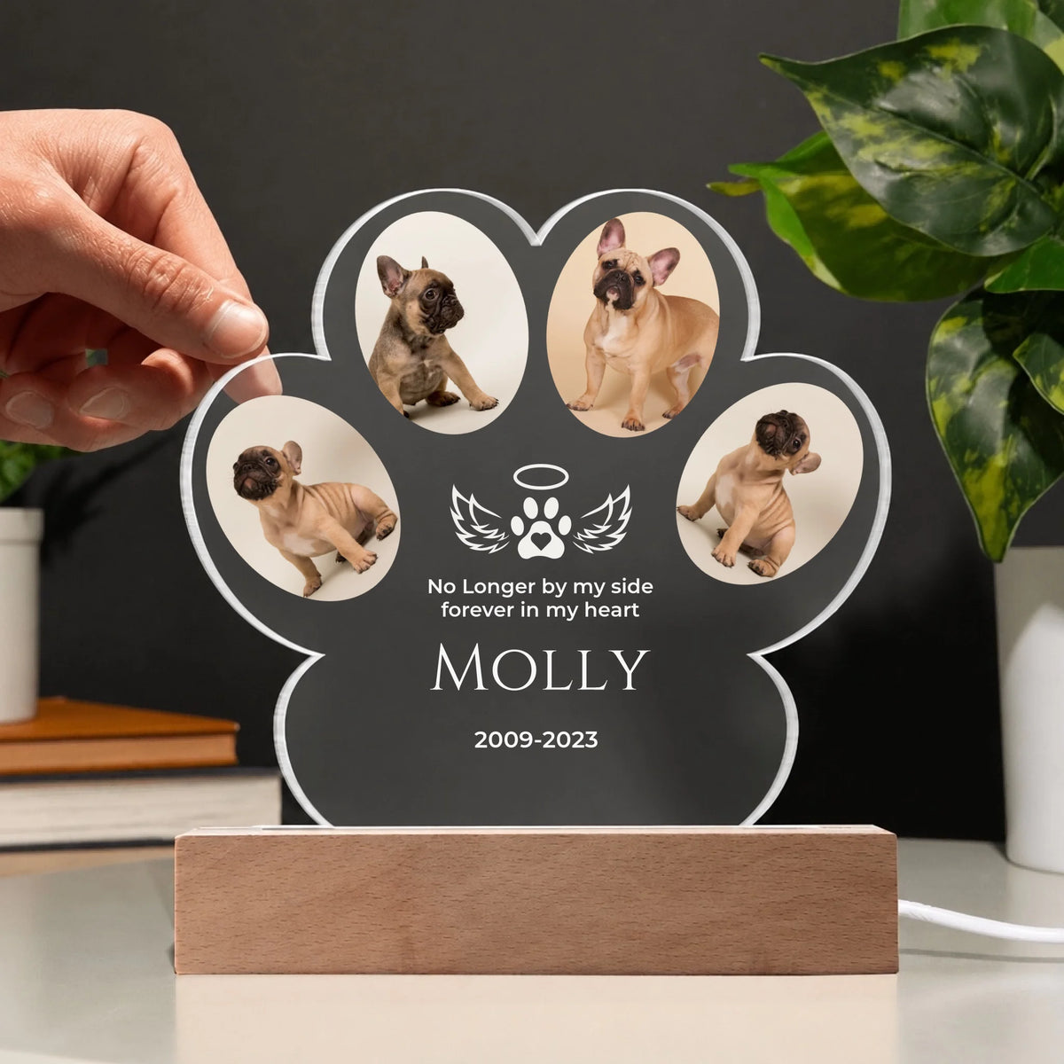 Personalized pet memorial paw acrylic plaque with four photos, pet name and dates, held on a wooden LED base